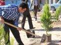 گزارش تصویری مراسم روز درخت کاری و تقدیر از نیروهای باغبانی دانشگاه